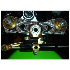 Gabelbrücken- Protektor PRINT in carbon-look zu Kawasaki