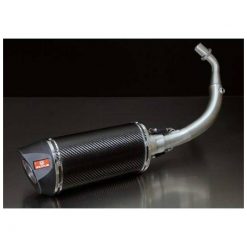 Auspuff REMUS RSC in CARBON zu Piaggio (CH- Homologiert) EURO4