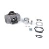 Rennsatz MOPED KINGS HT1 PRE TUNED, STAGE 1 Ø 45mm (Axe 12), NM- lange Ripp
