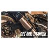 Auspuff GPR GPE Anni. in titan zu Honda (CH-Hom)