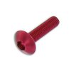 Flachkopfschraube M6x30mm rot (6 Stück)