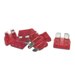 Stecksicherung Midi 10A (10 Stk.) 19x20mm