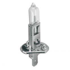 Glühlampe halogen weiss H1 12V 55W