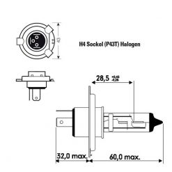 Halogen- Birne NO NAME Standard 12V/60-55W (Sockel: H4) in Weiss