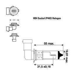 Halogen- Birne SIMONI RACING (Paar) SUPER GAMMA - 6200°K 12V/55W (Sockel: