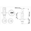 Glühlampe H1 12V 55W Philips Premium
