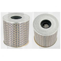 Oelfilter CHAMPION COF026 / X314 (wie HF126)