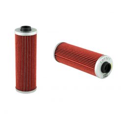 Oelfilter CHAMPION COF061 / X317 (wie HF161)