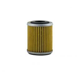 Oelfilter CHAMPION COF042 / X348 (wie HF142)