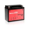 Batterie YTX12-BS GEL Malossi (MTX12-BS)