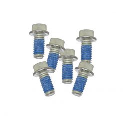 Schrauben Set BIKE IT BREMSSCHEIBE (6 Stück) Sechskant M6x13mm, Stahl, 10.