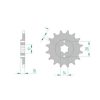 Ritzel Derbi 420/12Z