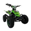 Mini Quad Big Raptor grün-schwarz