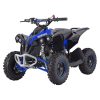 Mini Quad/ATV RENEGADE schwarz/blau