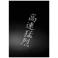 Sticker HH CHINESE mit 4 Motiven aus Silikon (4 x 20cm)