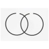 Kolbenringe Polini 45,4mm zu 45000