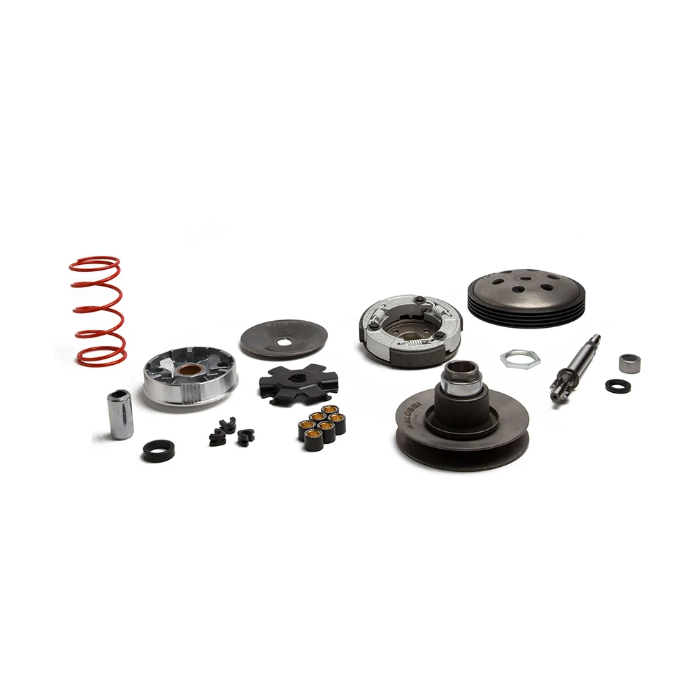 Overrange Kit Malossi Mofa Piaggio SI, Boss, Grillo mit Variomatik