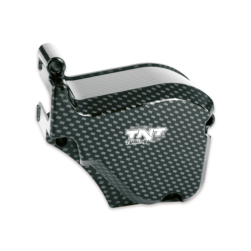Abdeckung Oelpumpe Derbi >2006 carbon (Piaggio Motor)