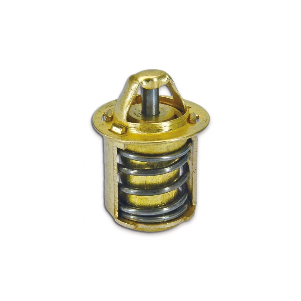 Thermostat Derbi Senda EBS050/EBE050/D50B0 (60 Grad)