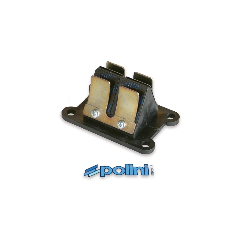 Membrane Polini BIG VALVE Minarelli AM6