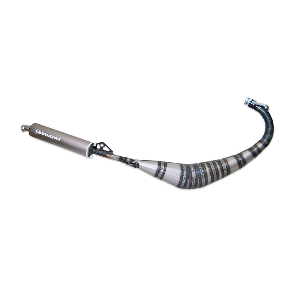 Auspuff Tecnigas E-BOX Aprilia RS50/Derbi GPR 2010 ->