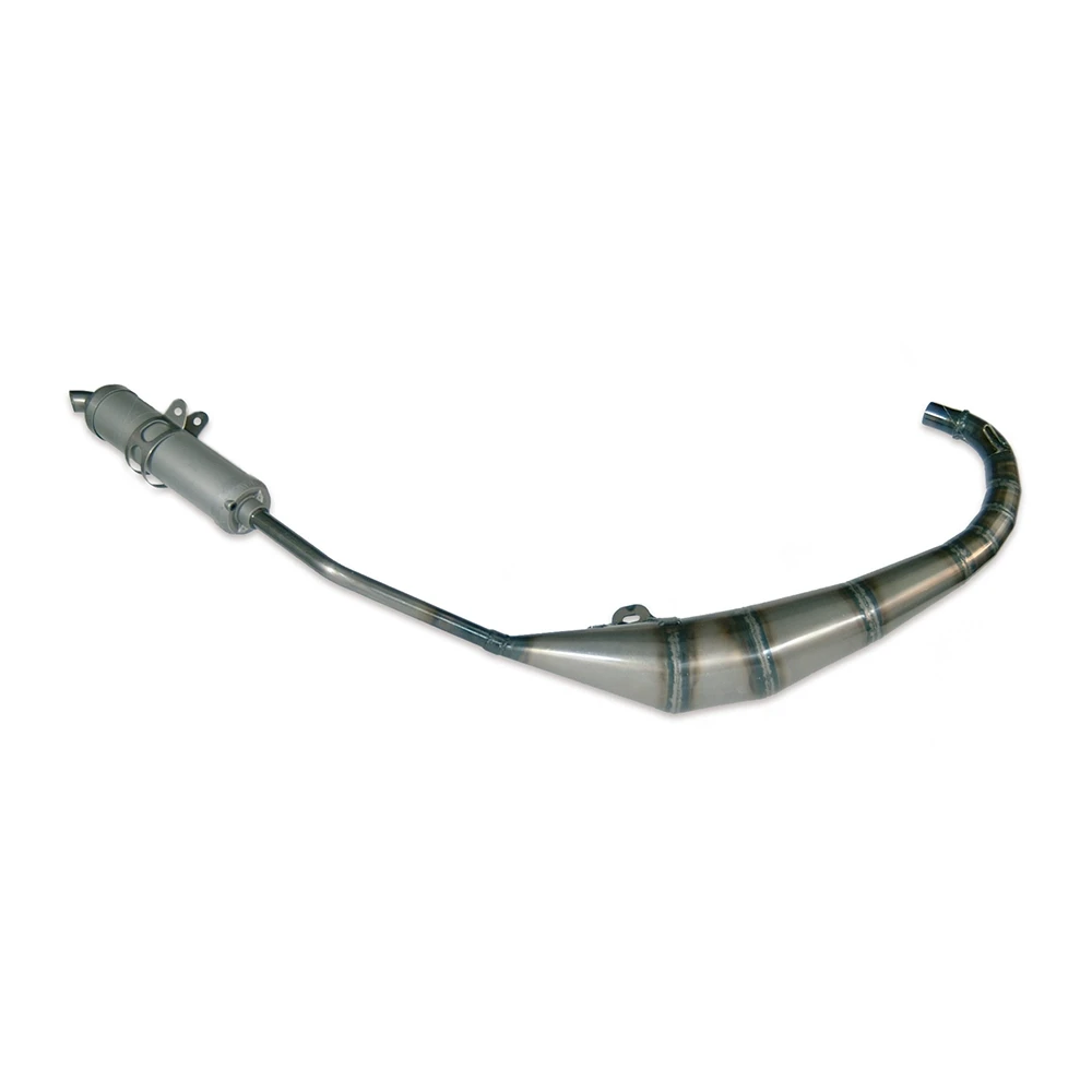 Auspuff Malossi MHR Rieju Matrix RS2 50 2-t
