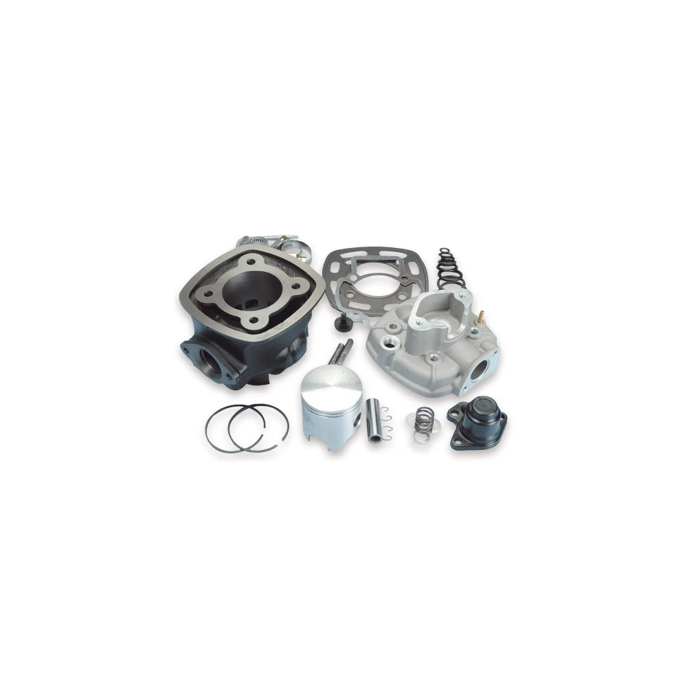 Zylinderkit Polini Sport 47mm Guss Piaggio Injection H2O 2-t