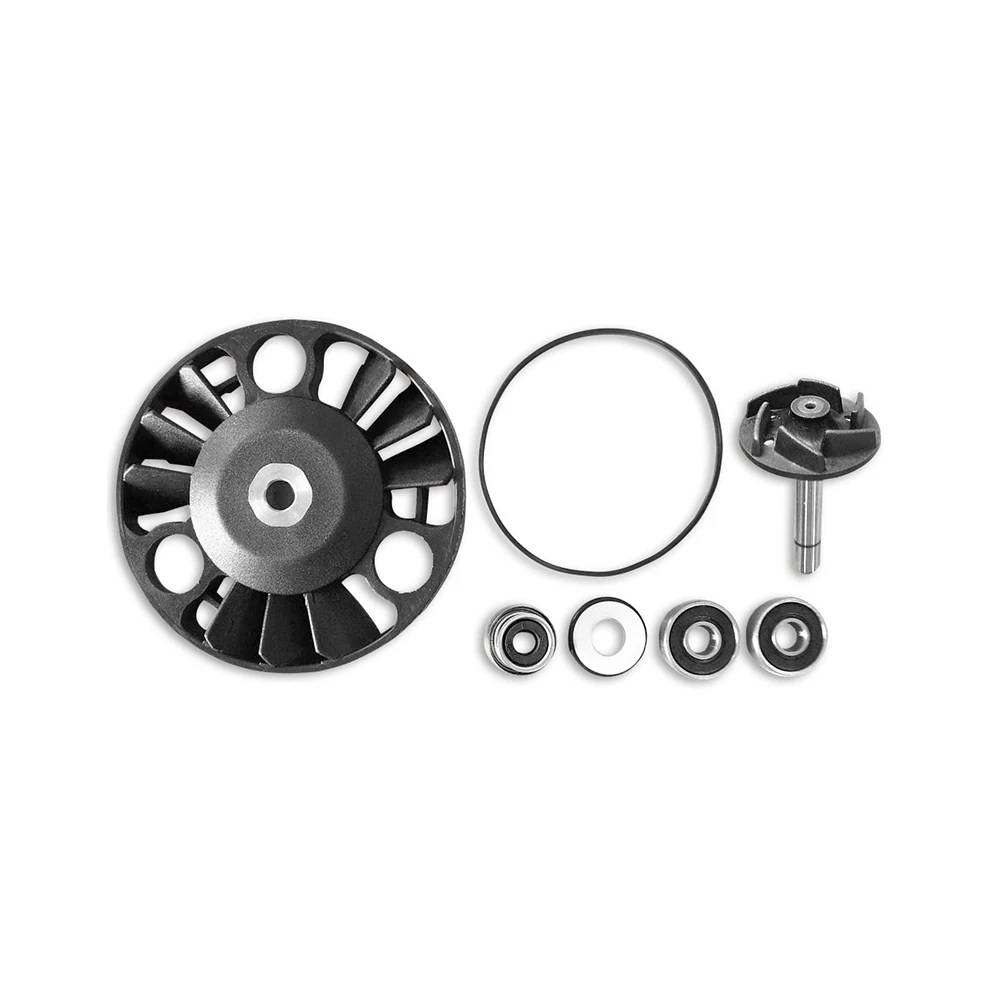 Revisionskit Wasserpumpe Piaggio X9 180-200