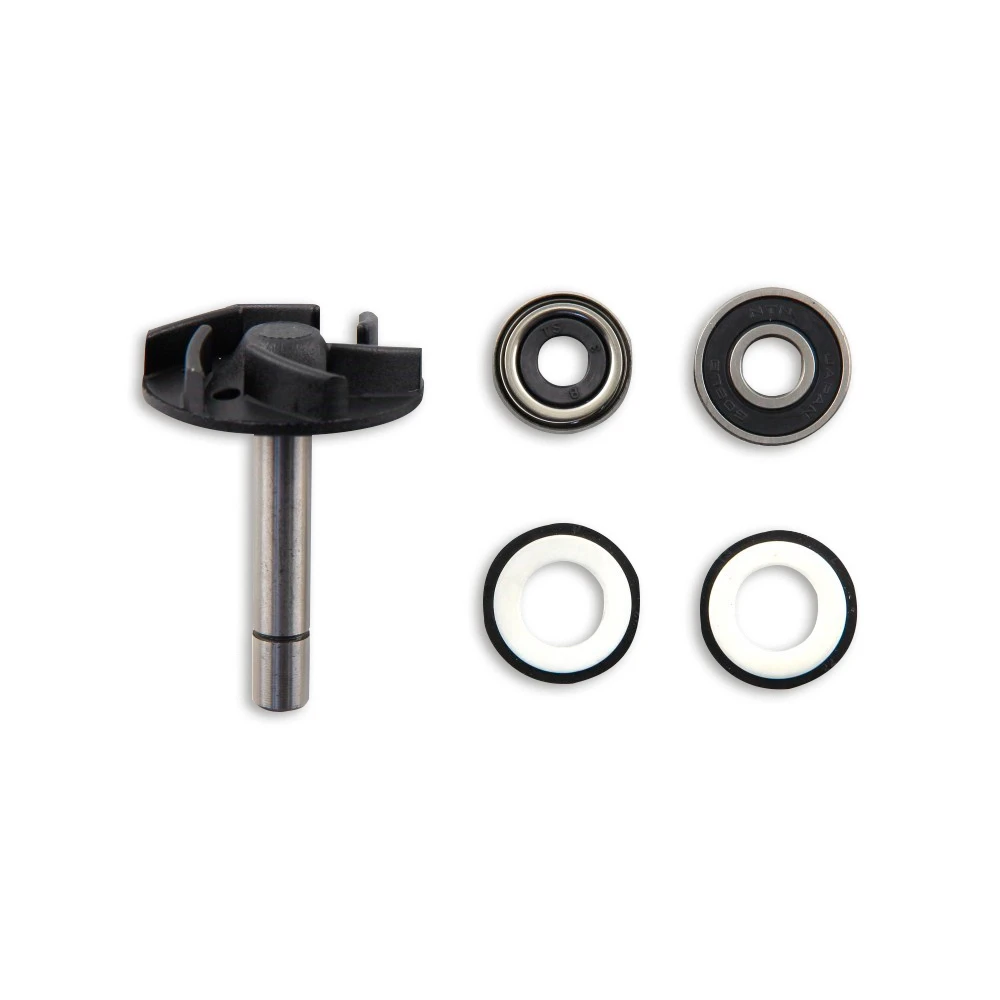 Revisionskit Wasserpumpe Aprilia Atlantic 125 - 200