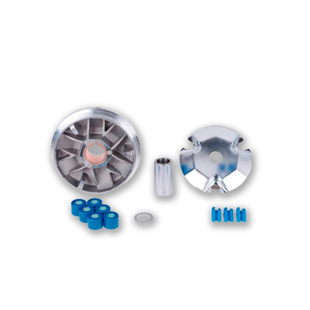 Variomat Polini Speed-Control PGO Big Max NETTOPREIS