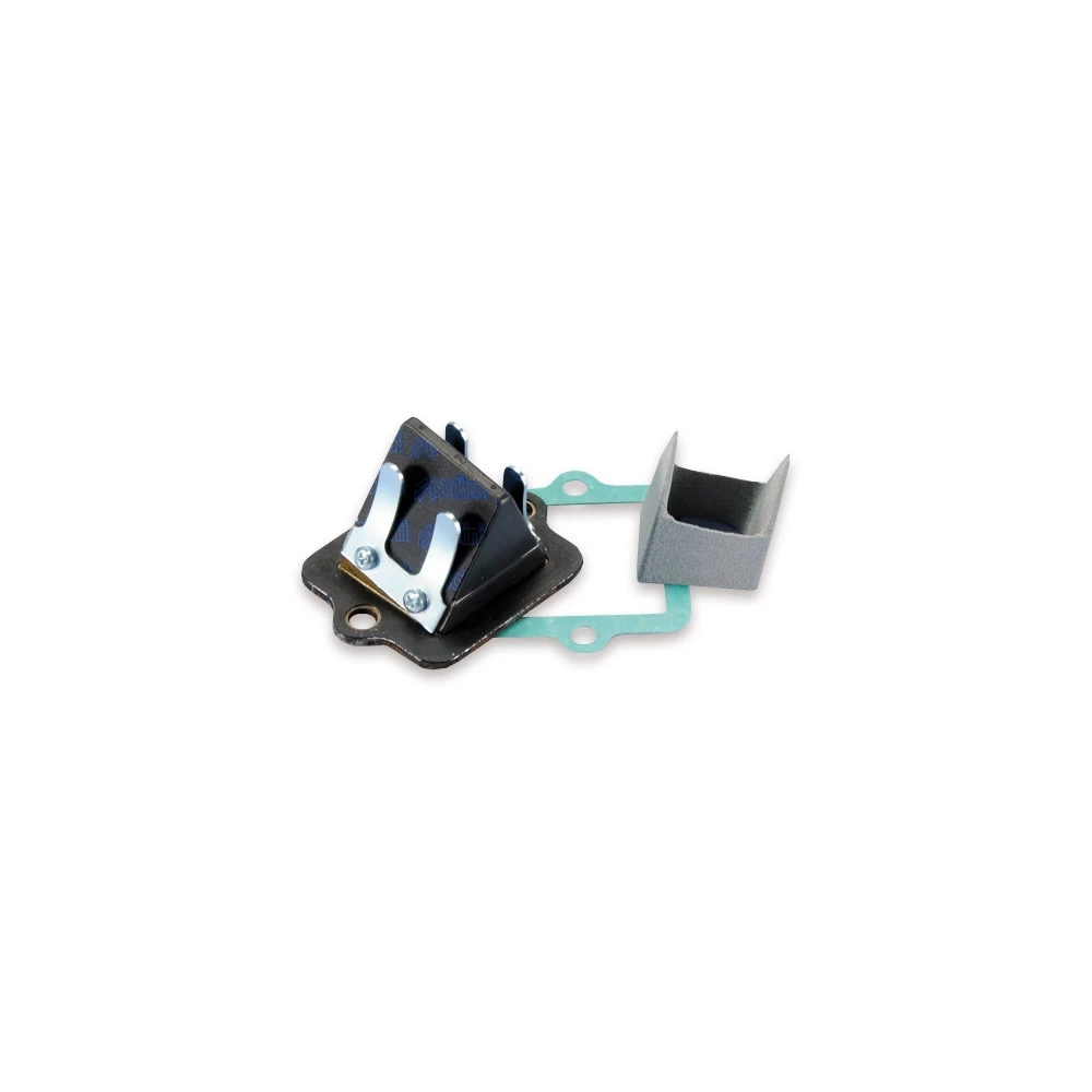 Membrane Polini Big Evolution Piaggio/Gilera 19/21mm NETTOPREIS