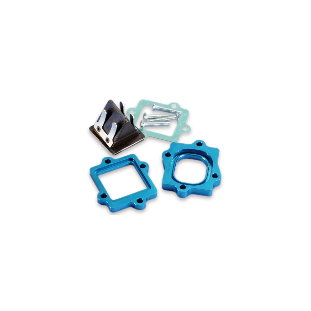 Membrane Polini Big Evolution Minarelli horizontal 50cc