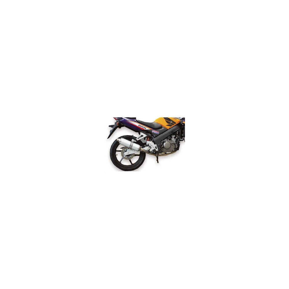 Auspuff Malossi Wild Lion Honda CBR125 4-t NETTOPREIS