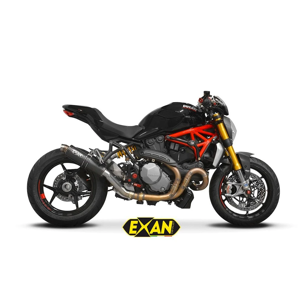 Auspuff EXAN X-GP in carbon zu Ducati (CH-Hom)