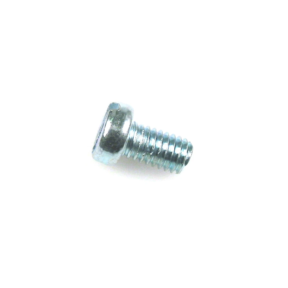 Schraube Schlitzkopf zylindrisch M6 x 10 mm (A4511)