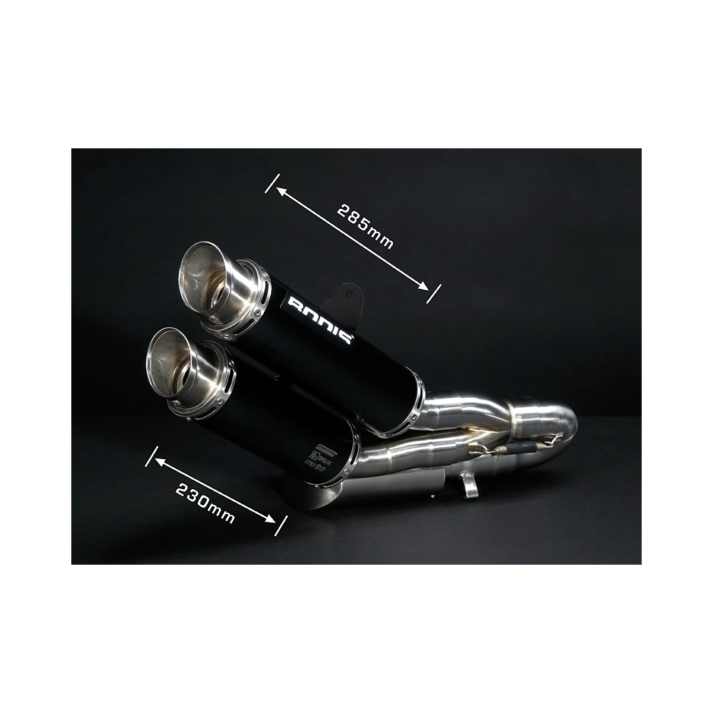 Auspuff BODIS GPX2 in INOX/SCHWARZ (SS/BL) zu BMW (CH- Homologiert)