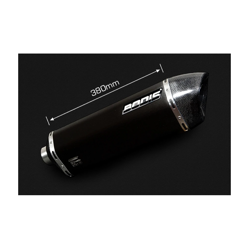 Auspuff BODIS PENTA-TEC F in INOX/SCHWARZ (SS/BL) zu BMW (CH- Homologiert)