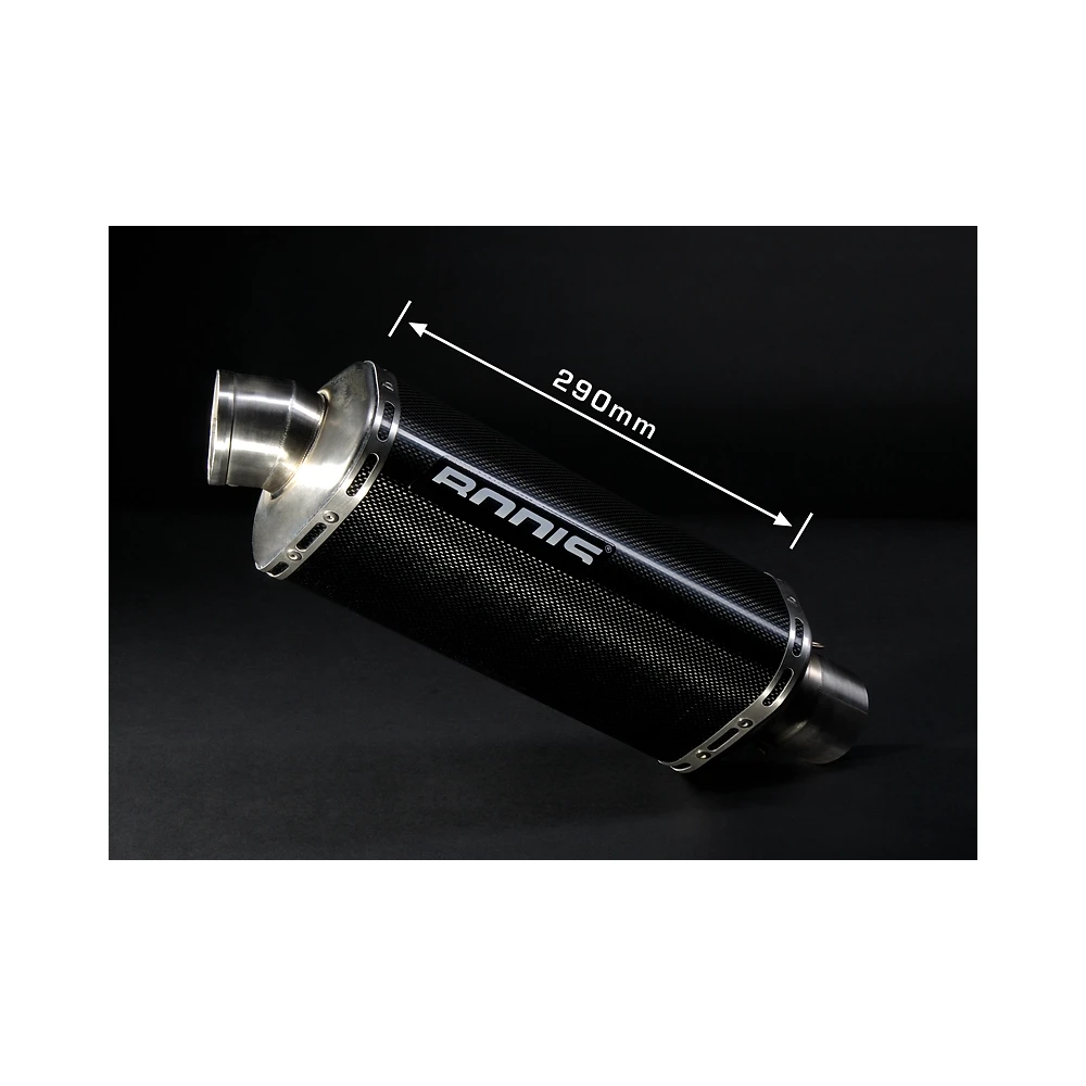 Auspuff BODIS SB1-S in TITAN (TI) zu Suzuki (CH- Homologiert)