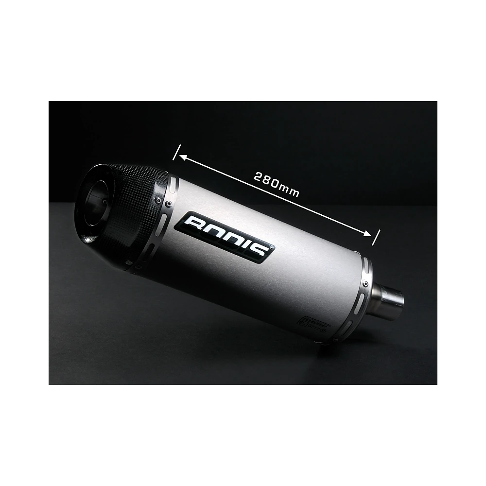 Auspuff BODIS OVAL-TEC in INOX-GESCHLIFFEN (SS) zu Triumph (CH- Homologier