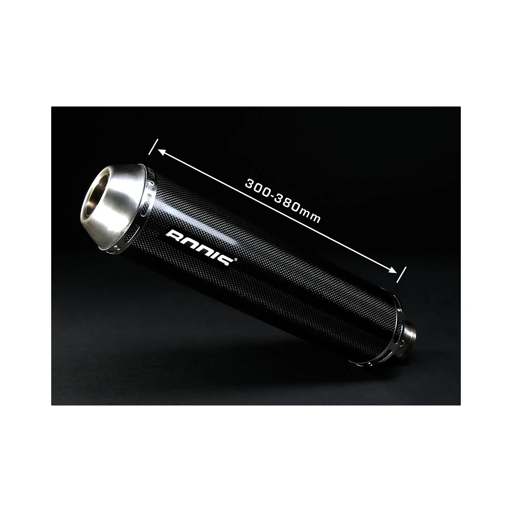 Auspuff BODIS OVAL Q2 in TITAN (TI) zu Yamaha (CH- Homologiert)