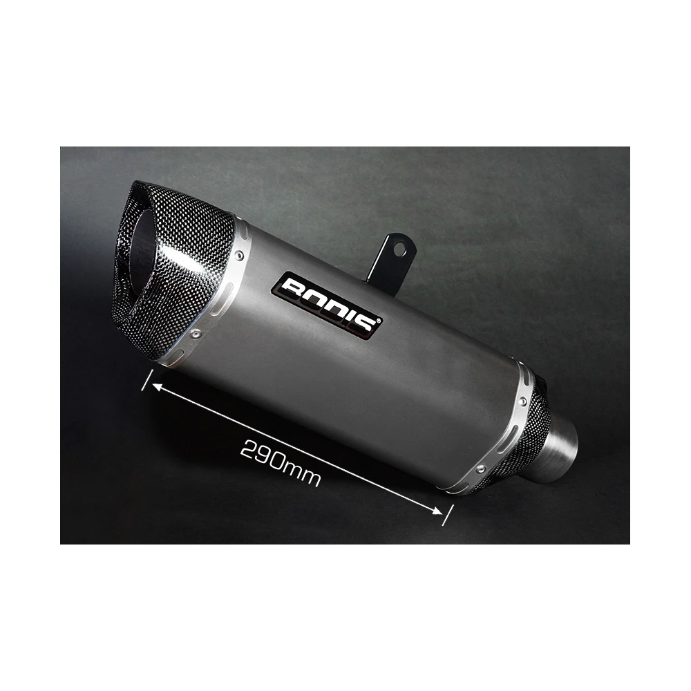 Auspuff BODIS PENTA-TEC F in TITAN (TI) zu BMW (CH- Homologiert)