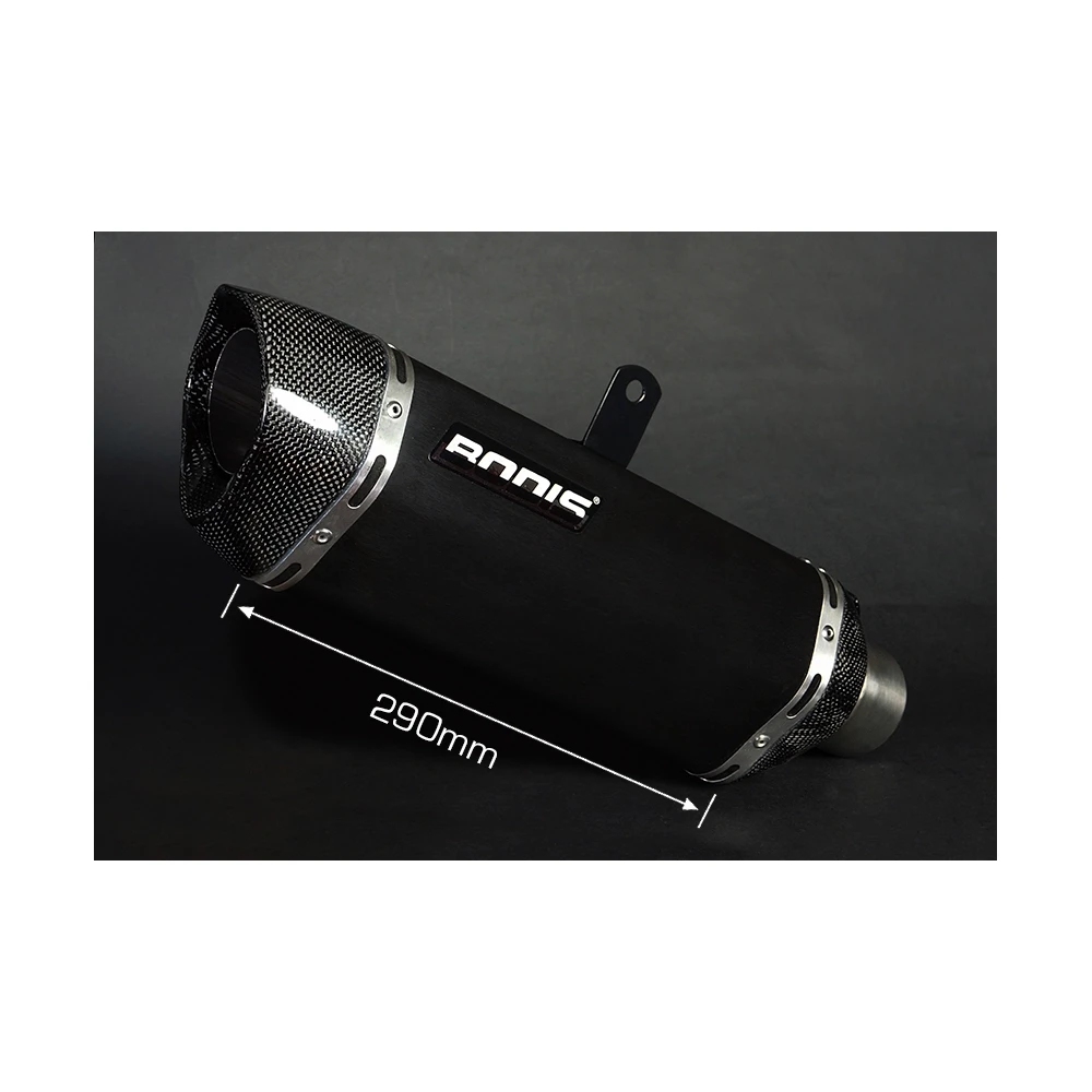 Auspuff BODIS PENTA-TEC F in INOX/SCHWARZ (SS/BL) zu BMW (CH- Homologiert)