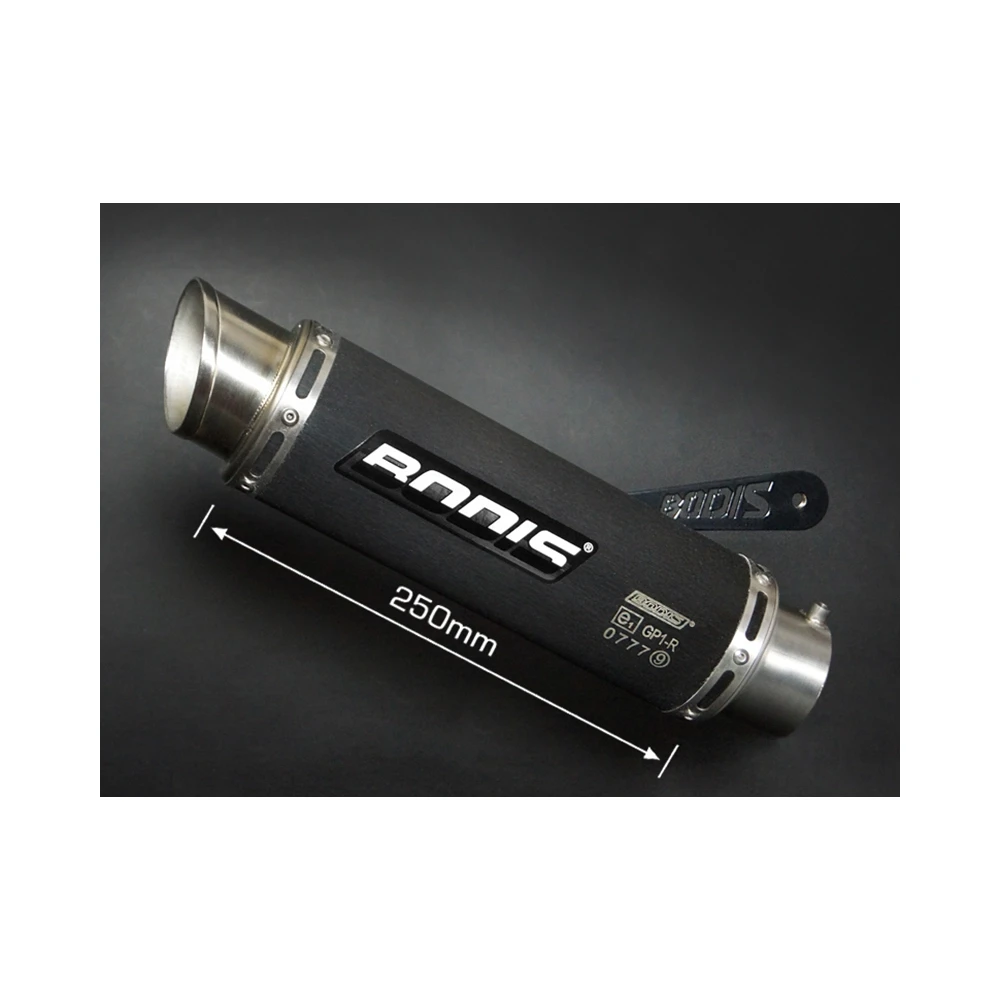 Auspuff BODIS GP1-R in INOX/SCHWARZ (SS/BL) zu BMW (CH- Homologiert)