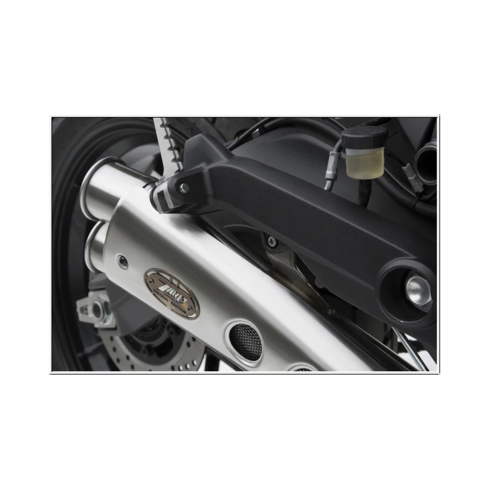 Auspuff ZARD SPECIAL EDITION - LOW POSITION (2 in 1) in Inox zu Ducati (CH