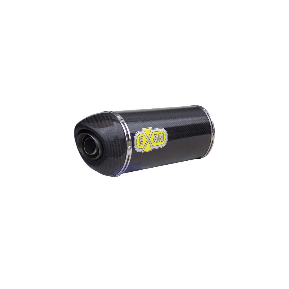 Auspuff GPR Furore Evo 4 in schwarz-matt zu Triumph (CH-Hom)