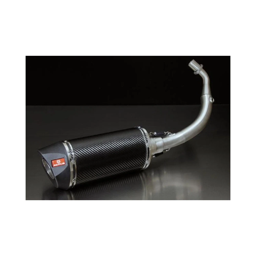 Auspuffanlage REMUS RSC in CARBON zu Piaggio (CH- Homologiert) ben. Kat. A
