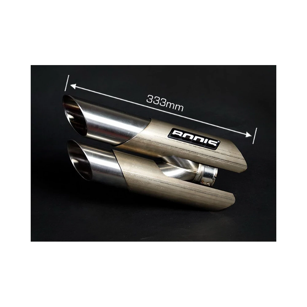 Auspuff BODIS DUOBOLICO in TITAN (TI) zu Triumph (CH- Homologiert)
