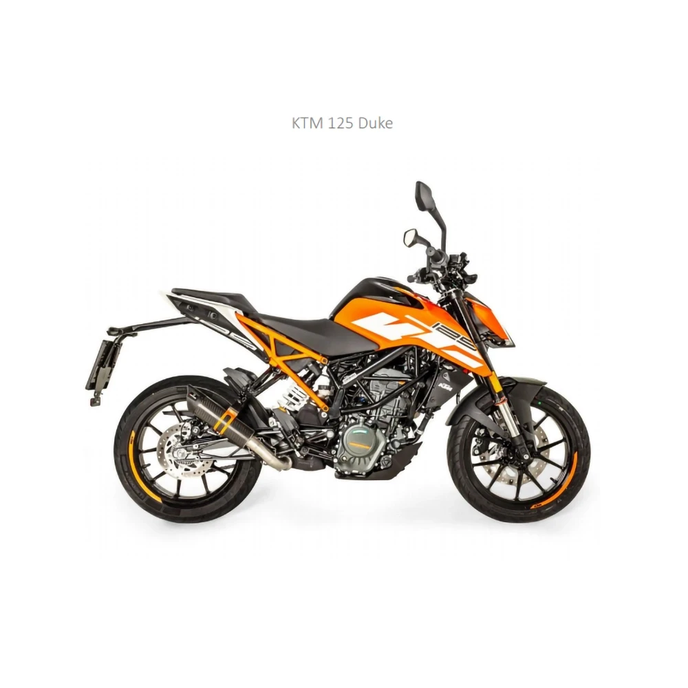 Auspuff REMUS SPORT FLOW in CARBON zu KTM (CH- Homologiert) EURO4