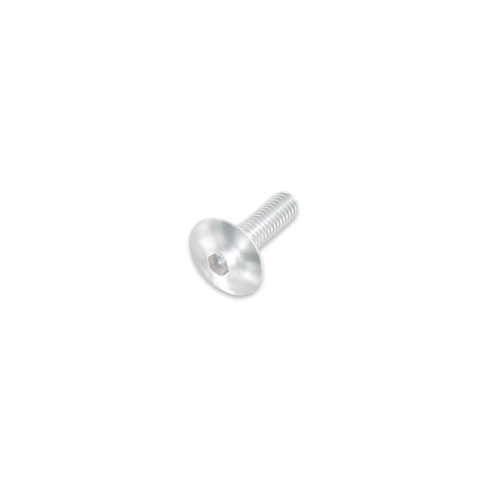 Flachkopfschraube M6x20mm silber (6 Stück)