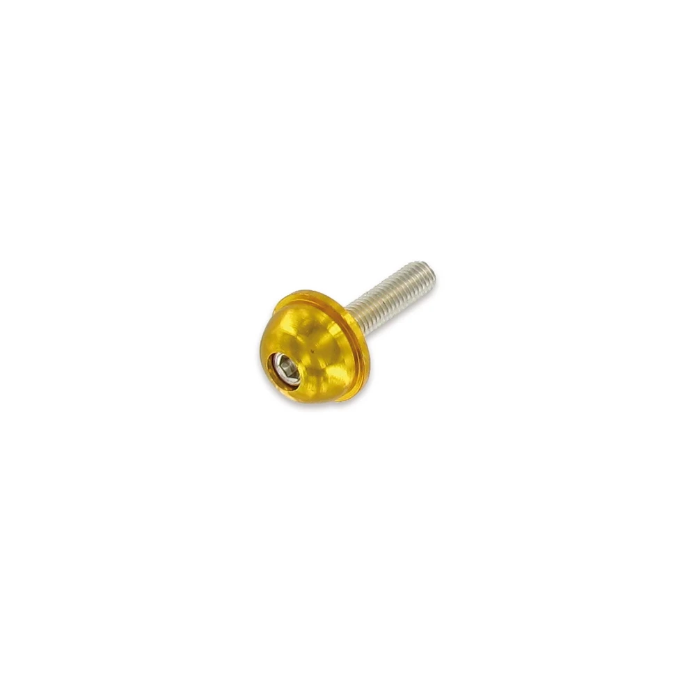Rundkopfschraube M5x20 Inbus gold (12 Stück)
